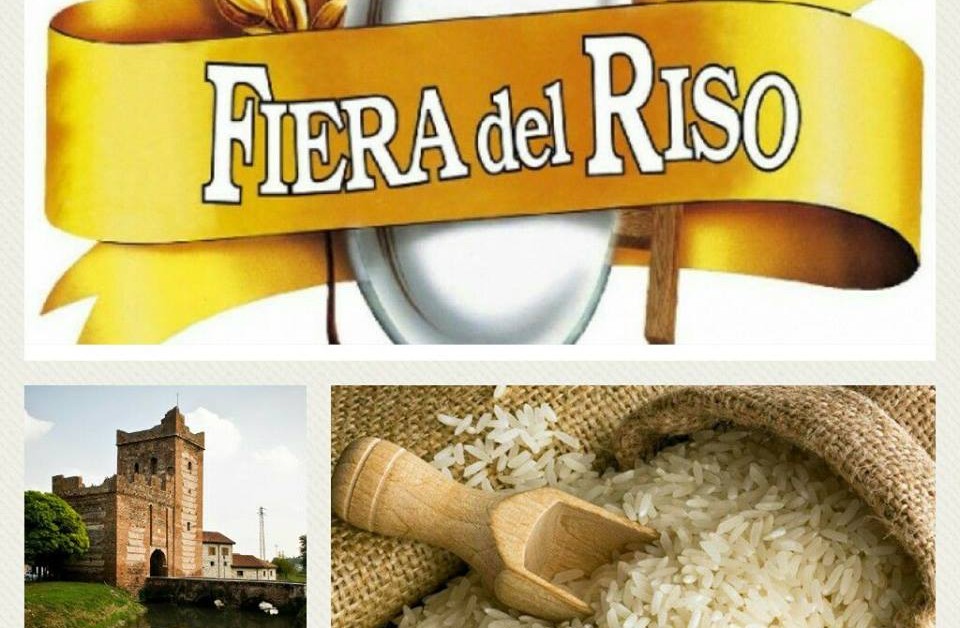 21192373_1963544993930527_4258162438643144578_n