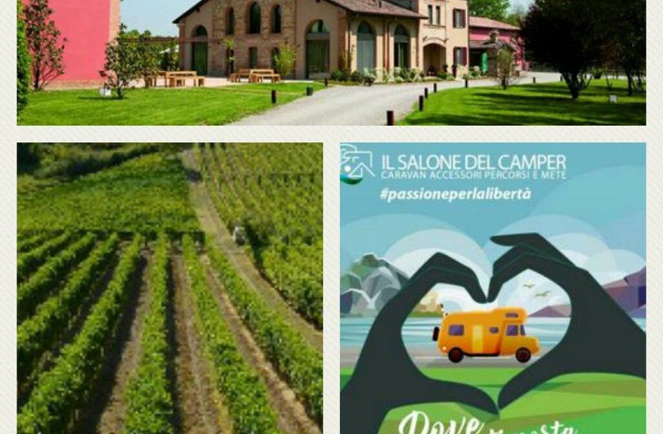 21271069_1965659193719107_7409030454996257296_n